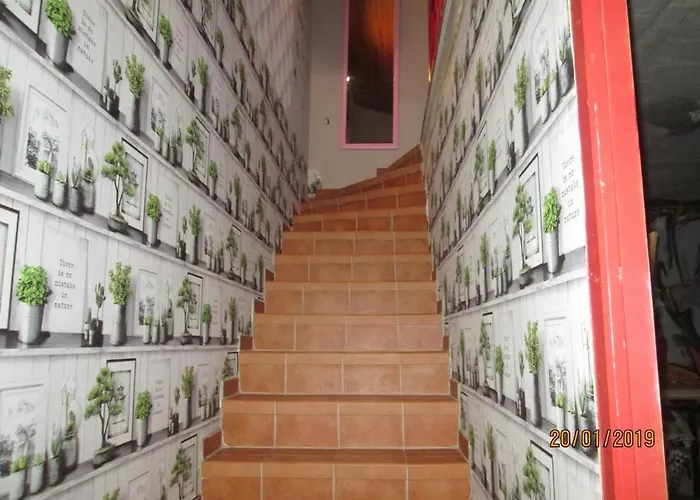 Appartement La Vigne